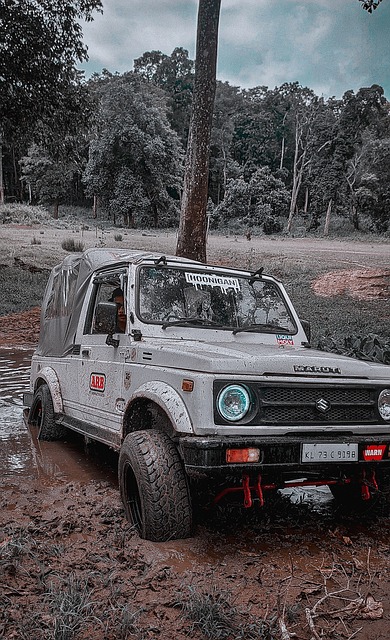 会的方式 会的方式