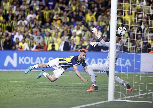 同样不容忽 同样不容忽