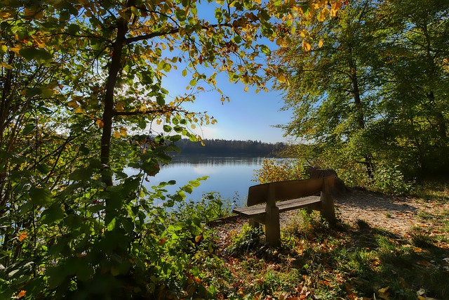 阿奴诺比 阿奴诺比