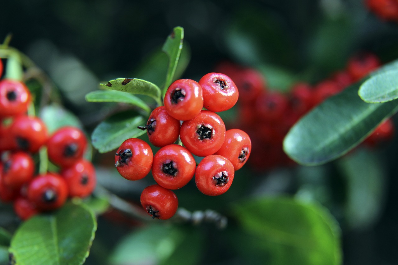 与其拘泥于 与其拘泥于