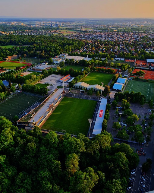 这位因足球 这位因足球