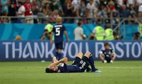 突出展示了 突出展示了