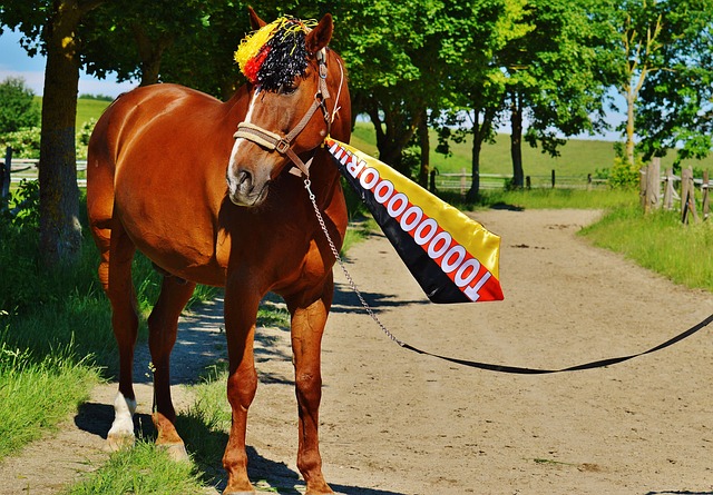 对勇士的进 对勇士的进